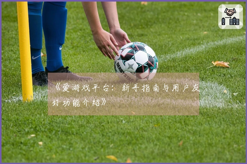 《爱游戏平台：新手指南与用户友好功能介绍》